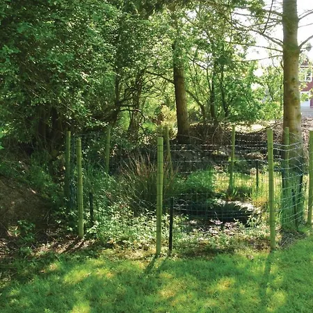 Brombaervaenget Vi *